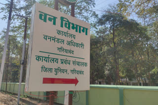 Corona infection identified among 16 employees of forest department