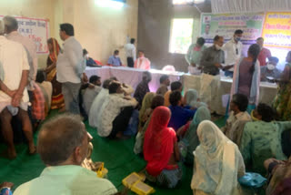 Divyang camp set up in Manasa of Neemuch