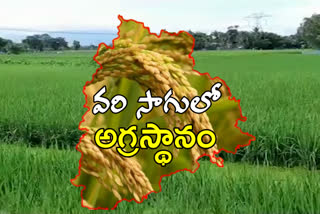 telangana got 1st position in country in paddy cultivation