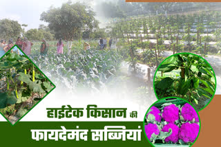 organic farming in saharsa