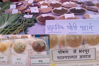 Conservation of traditional cereals of district kullu