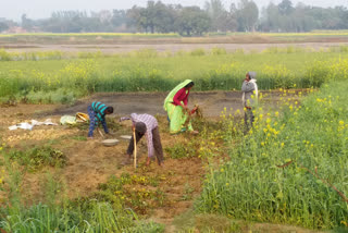 अम्बेडकरनगर में खेती किसानी छोड़ेंगे किसान.