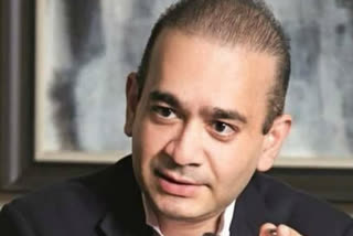 Nirav Modi