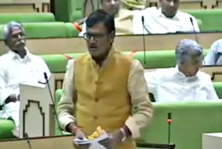 Deputy Leader Rajendra Rathore,  Budget debate in rajasthan assembly