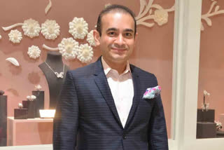 Nirav Modi