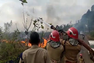 fire near nilambur court  നിലമ്പൂർ കോടതി  വൻ തീപിടുത്തം  അടിക്കാടുകൾ കത്തിനശിച്ചു