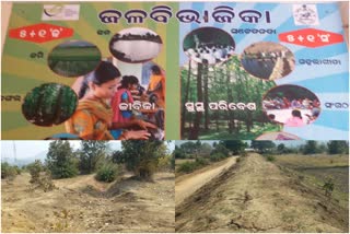 ଜଳଛାୟା ପ୍ରକଳ୍ପରେ ବ୍ୟାପକ ସରକାରୀ ଅର୍ଥ ଲୁଟ ଅଭିଯୋଗ