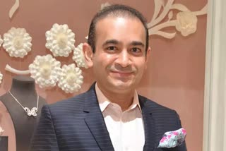 Nirav Modi's extradition