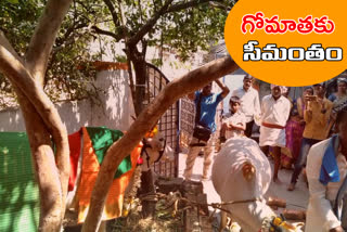 shower function to cow