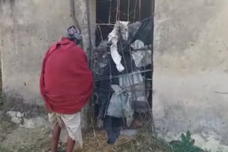 goats shelters become toilets