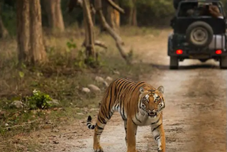 corbett tiger reserve