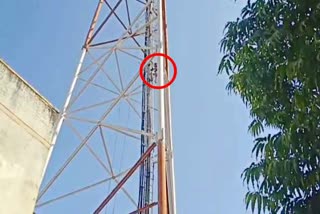 bhilwara news, young man climbed the mobile tower