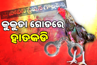 ହତ୍ୟା ଅଭିଯୋଗରେ କୁକୁଡାକୁ ଗିରଫ କଲା ତେଲେଙ୍ଗାନା ପୋଲିସ