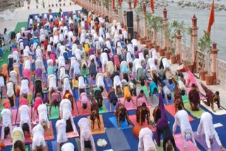 international-yoga-festival