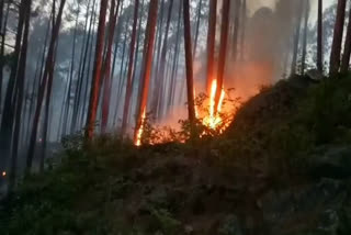 forest fire