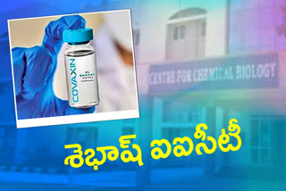 Indian Institute of Chemical Technology developed agonist element for covaxin vaccine