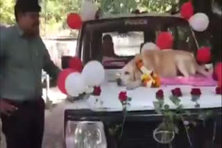 WATCH: Nashik police gives grand farewell to Sniffer dog