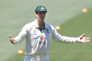there's no doubt he would like to do it- tim paine on steve smith donning the captaincy hat again