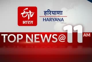 HARYANA TOP TEN NEWS