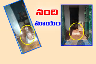 Nandi idol stolen from ancient temple in pedda padishala village gundala mandal in yadadri bhuvanagiri district