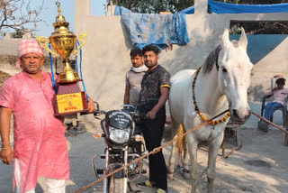 Horse Bharat Ratna