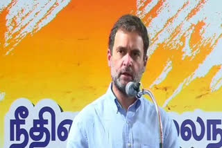 RSS destroyed institutional balance in country: Rahul Gandhi