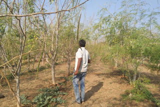 Hingoli Farmer Success Story