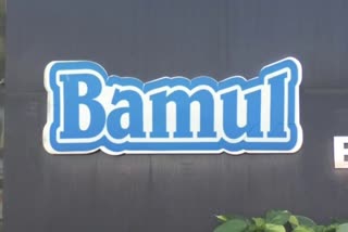 Bamul milk dairy