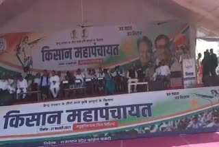 Congress Kisan Sammelan,  Chittorgarh News