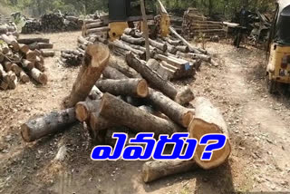 wood smuggling at edupulagudem in bhadradri kothagudem