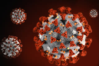 Centre, states discuss fresh spurt in cases; Focus on strict enforcement of COVID-appropriate behaviour, surveillance and RT-PCR testing