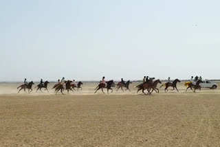 desert festival Horse racing, jaisalmer latest hindi news