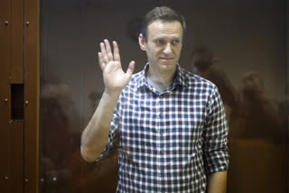 Putin critic Navalny transferred to penal colony