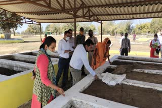 Collector Namrata Gandhi inspected the Pendra block