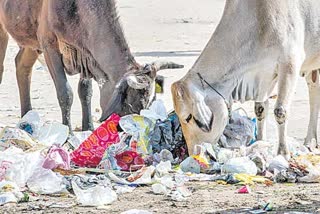 plastic usage in india