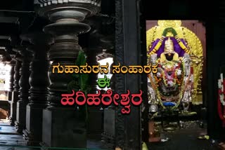 ಹರಿಹರೇಶ್ವರ ದೇವಾಲಯ