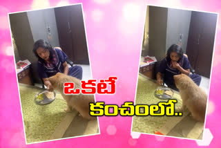 ghmc mayor gadwala vijayalaxmi feed her dog