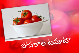 hyderabad-central-university-invented-a-tomato-full-of-nutrients