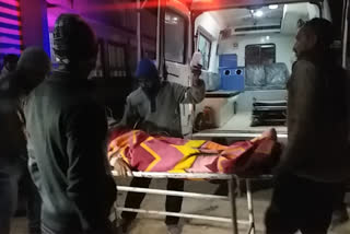 Two farmers died in road accident in Tentra police station area of Morena.