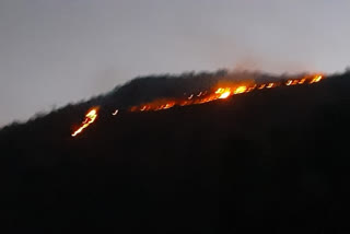 पहाड़ी क्षेत्र में लगी आग