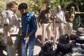 Illegal liquor was being made by mafias in the forest.