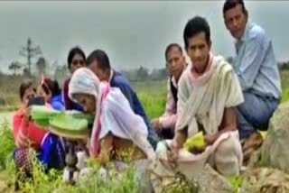 সংকটৰ গৰাহত ভোগদৈ নৈ: স্থানীয় লোকৰ পূজা-অৰ্চনা