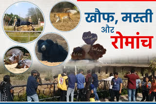 nahargarh biological park in jaipur , jaipur latest hindi news