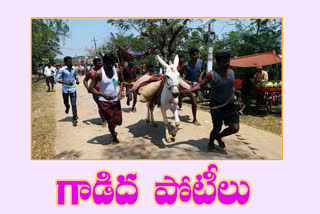 domkeys race in nandya