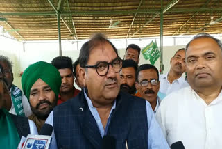 abhay chautala reaction on op dhankhar statement