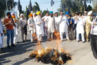 farmers burn effigy of ranjeet chautala
