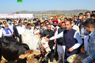 Chief Minister Jairam Thakur