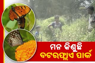 ଦେଖିଲେ ଦେଖୁଥିବେ, ଥିମକ୍କାର ବଟରଫ୍ଲାଏ ଗାର୍ଡେନ