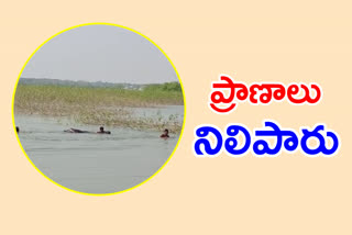 buffallow rescued by youth who swam in the pond saved the life in madhira in khammam district