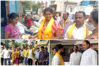 tdp election campaign in visakha